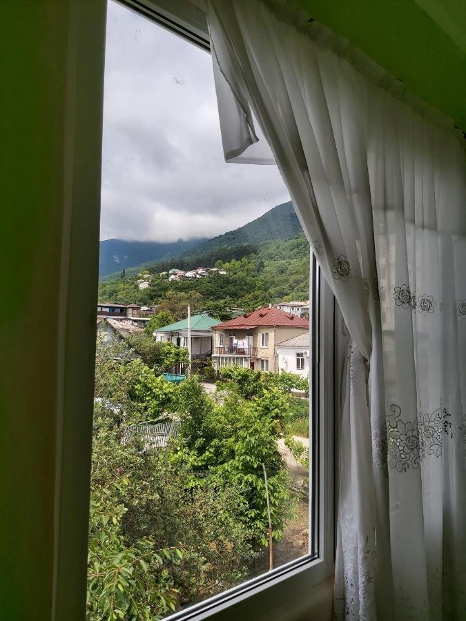 Na Shapsug Guest House Gagra Buitenkant foto