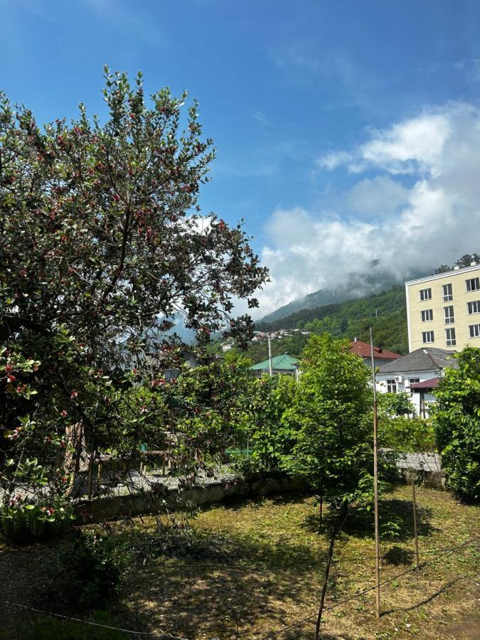 Na Shapsug Guest House Gagra Buitenkant foto